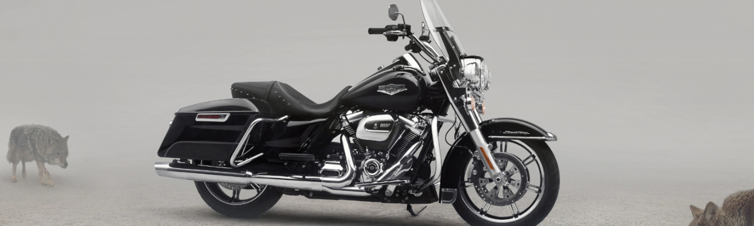 2020 Harley-Davidson® Touring Road King